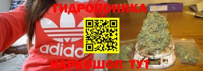 сатива Ливны