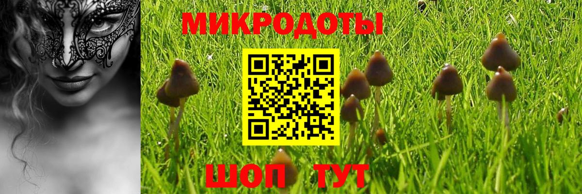 Псилоцибиновые грибы GOLDEN TEACHER Горно-Алтайск