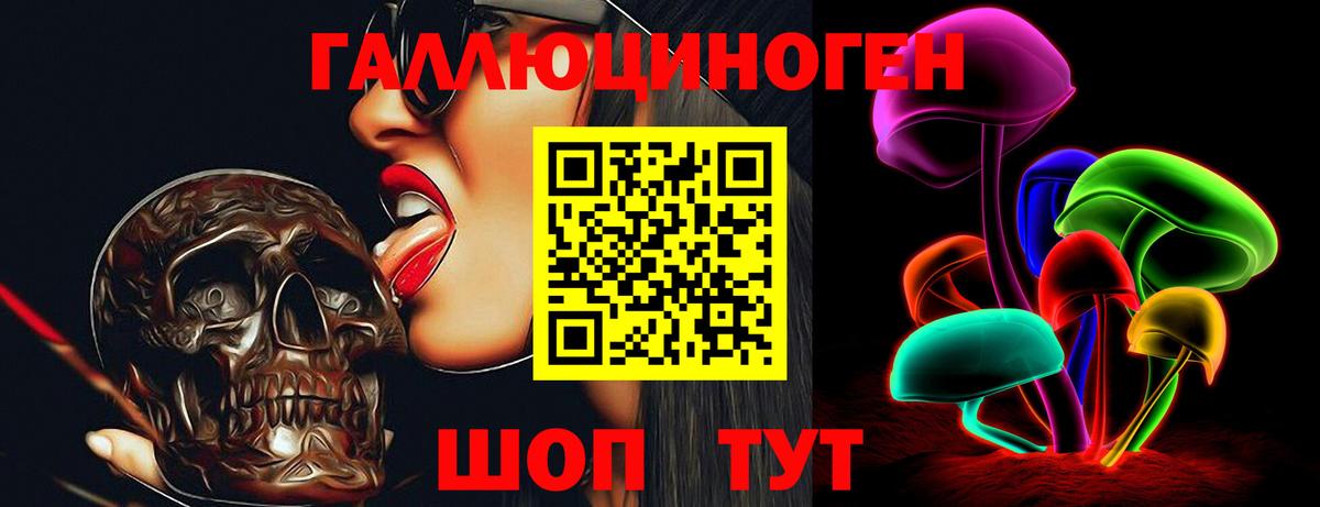Псилоцибиновые грибы GOLDEN TEACHER  Вход с VPN  Горно-Алтайск 